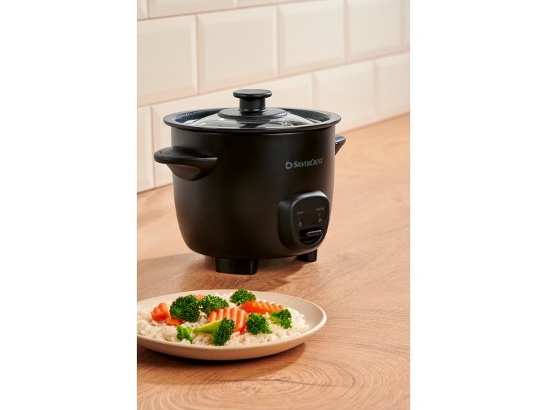 Mini cuociriso elettrico