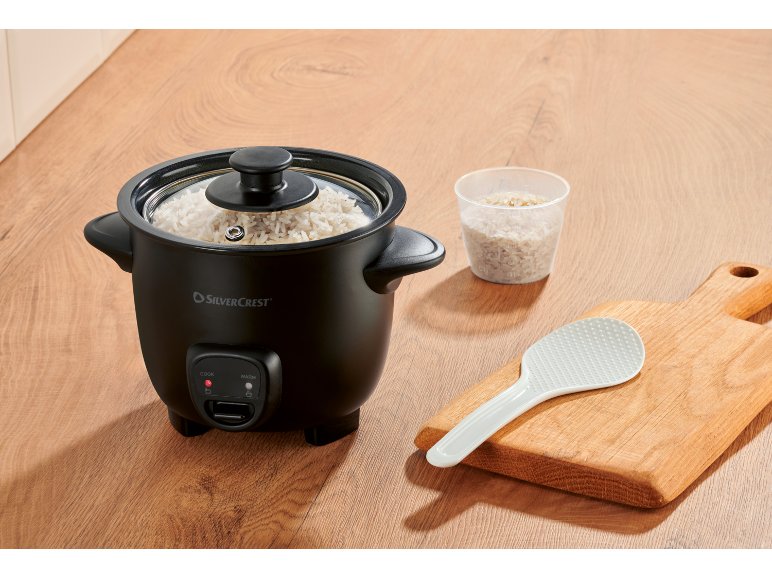 Mini cuociriso elettrico