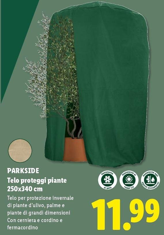Parkside - Tele Proteggi Piante 250x340 Cm