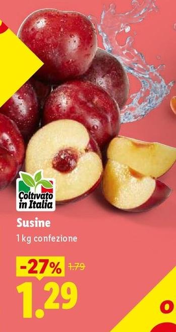Sucine