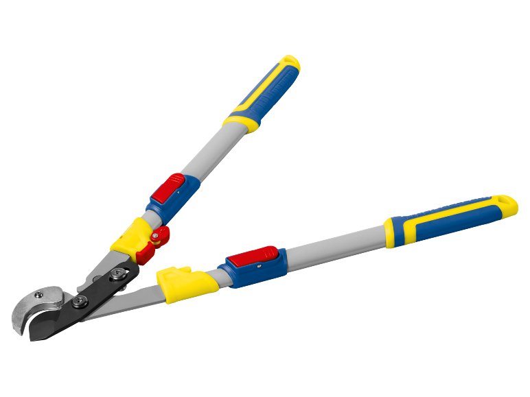 Tagliarami telescopico