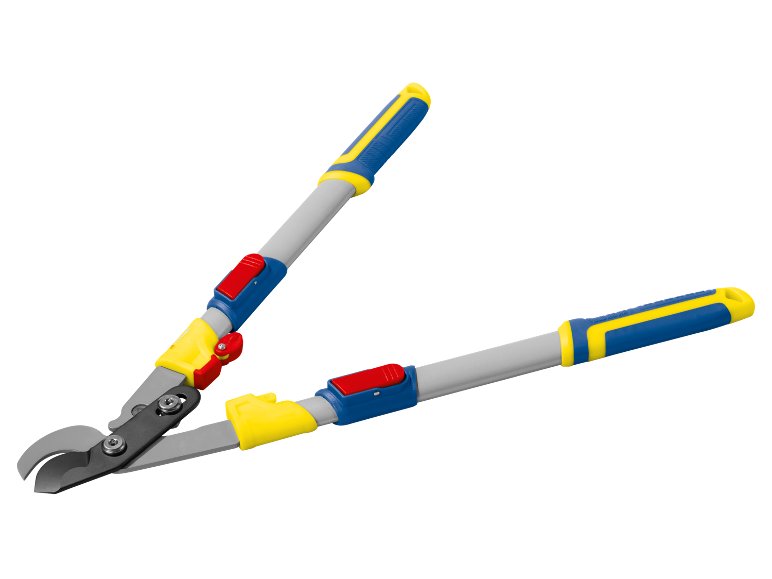 Tagliarami telescopico