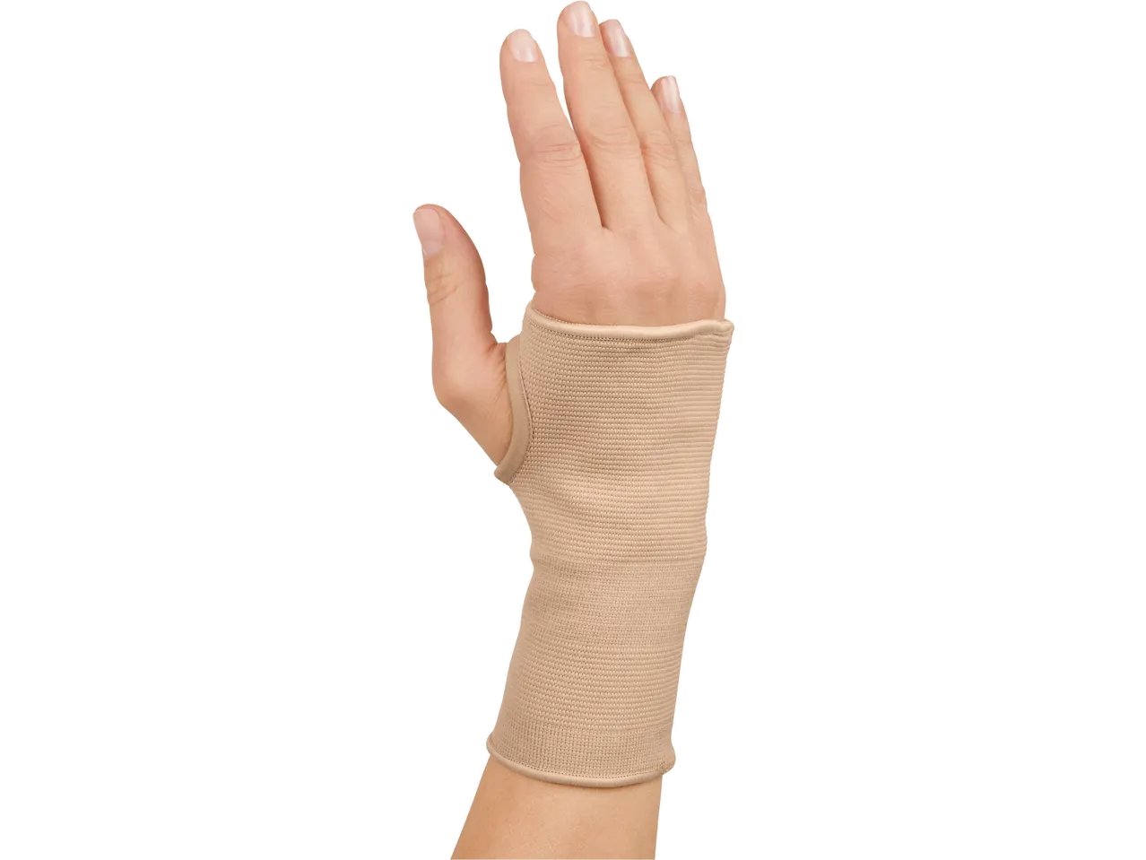 Fascia elastica
