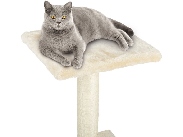 Tiragraffi a torre per gatti