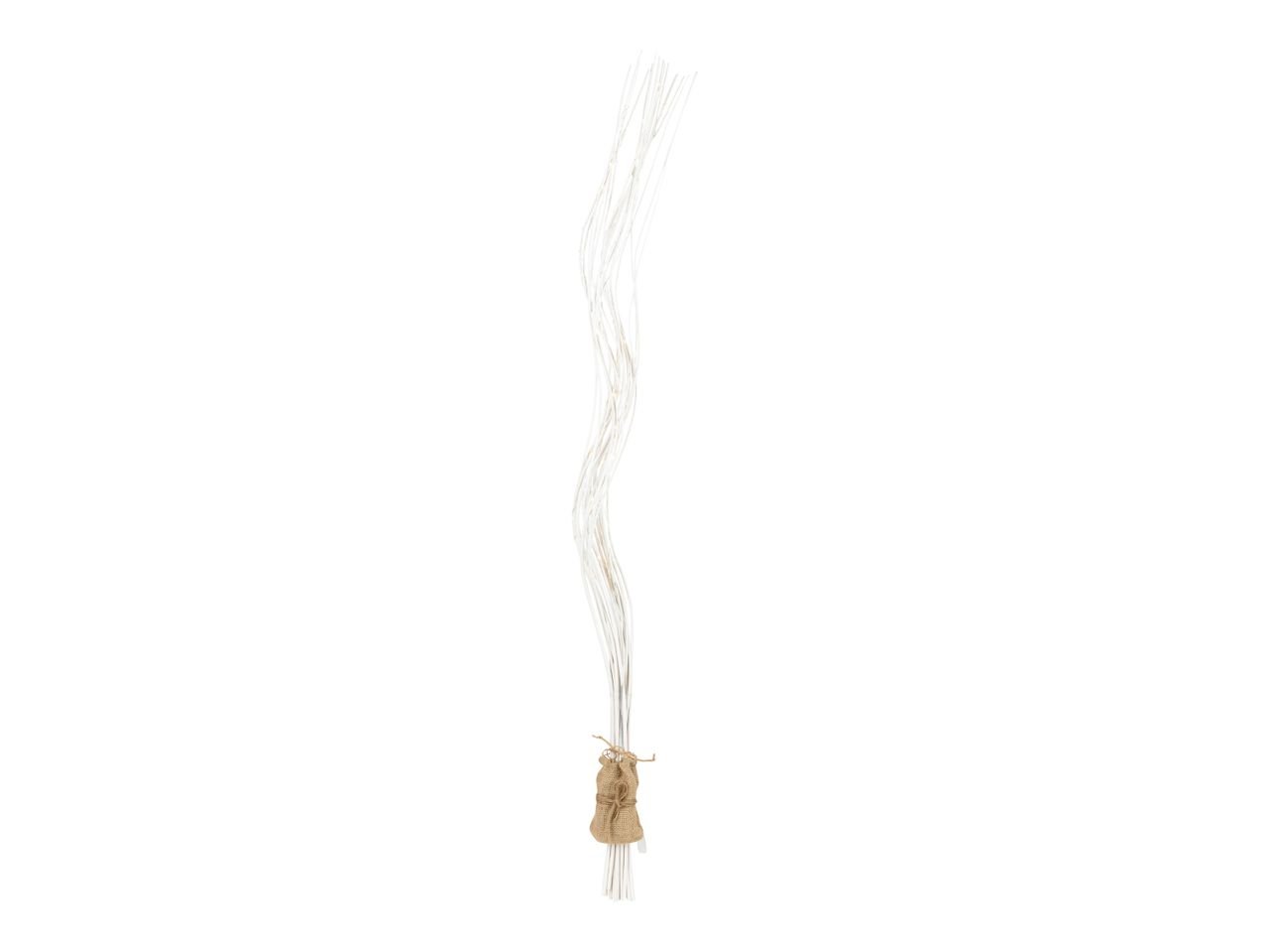 Rami luminosi LED