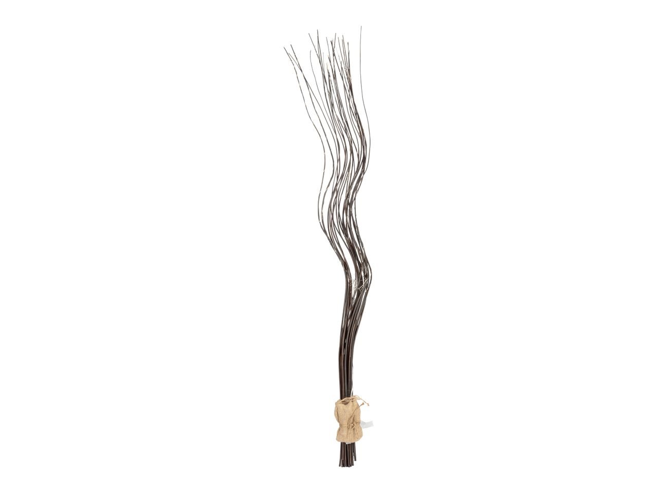 Rami luminosi LED