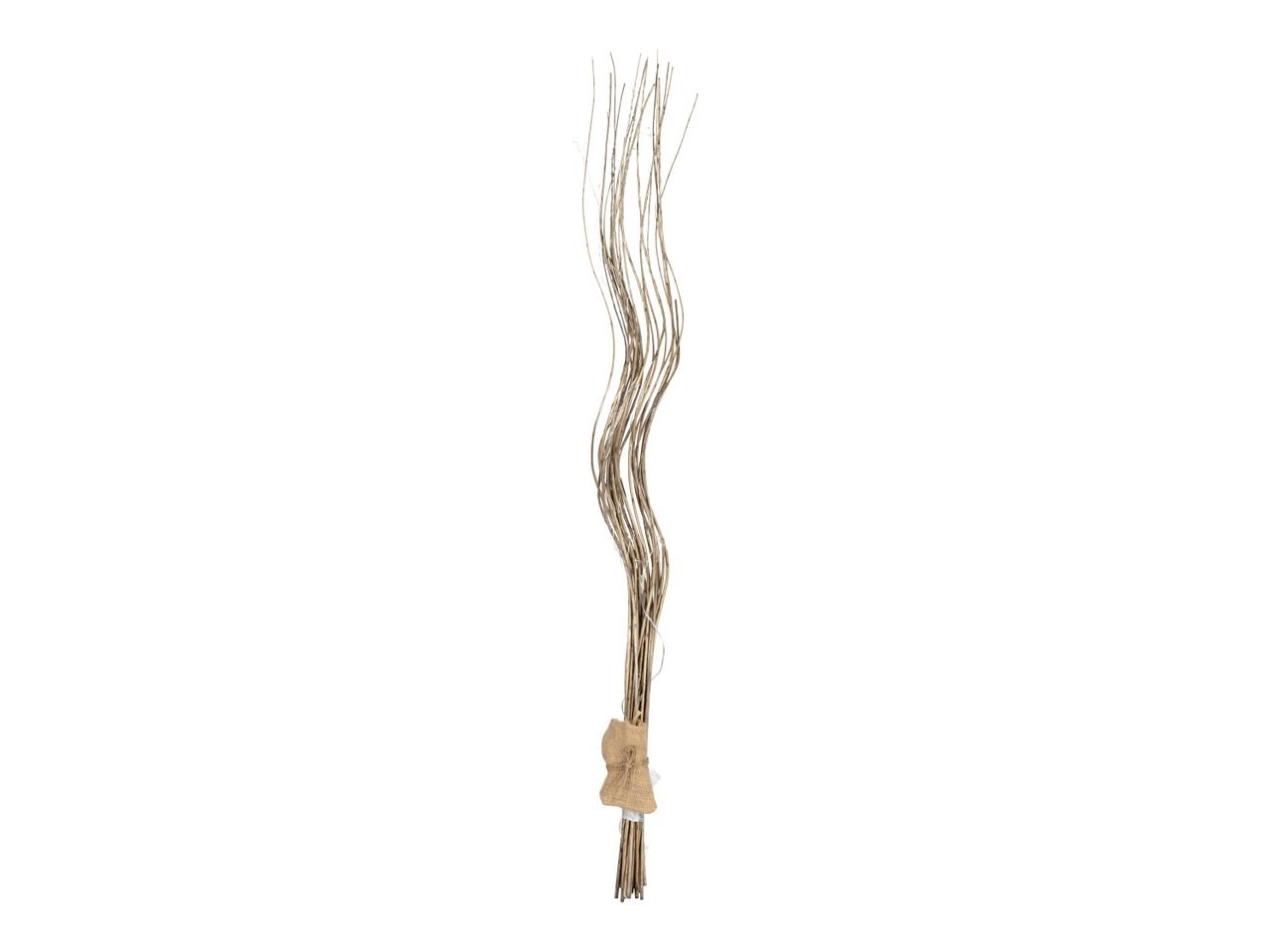 Rami luminosi LED