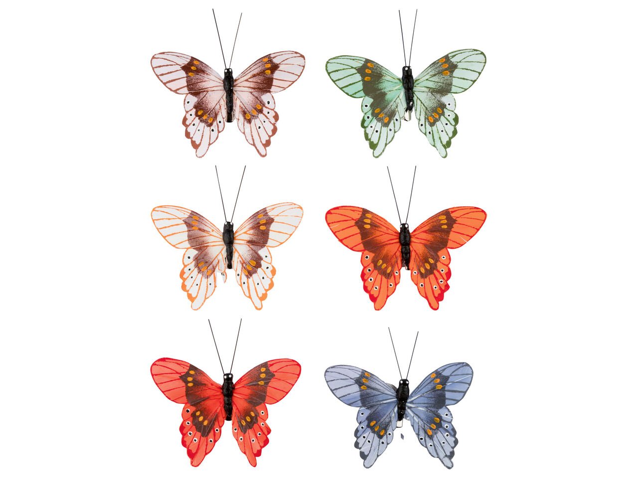 Clip decorative